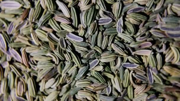 Raw Dry Organic Fennel Seeds Macro Shot Giro Giratorio — Vídeos de Stock