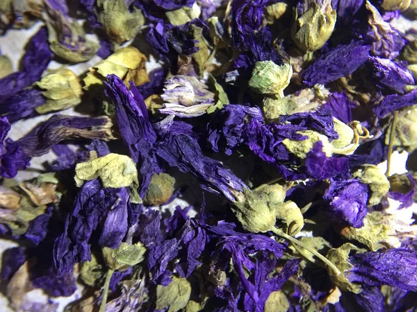 Organik Mavi Mallow Çiçekleri Arkaplanını Kapat Malva Sylvestris — Stok fotoğraf