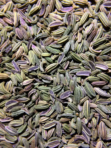 Raw Dry Organic Fennel Frön Bakgrund Närbild Makroskott — Stockfoto