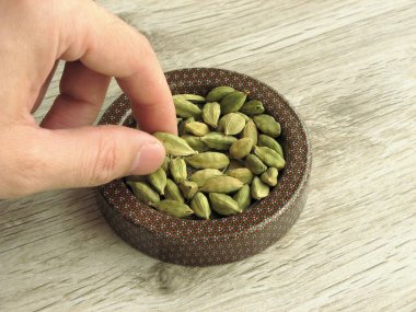 Yeşil Kakule Kapsülü Elachi eski bir bitki tohumu kapsülü Zingiberaceae ailesine aittir. Erkek eli..