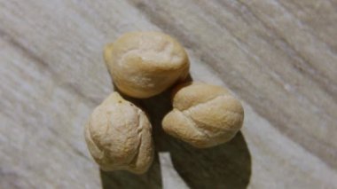 Tahta masadaki kuru fasulye çekirdekleri makro çekim dönüşümlü.