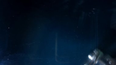 Arikara tohumları cam altına dökülüyor..