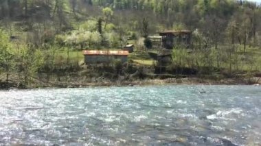 Nehir ormanı doğa manzarası. Ormandan akan nehir suyu. Ormanda nehir kenarında bir ev..
