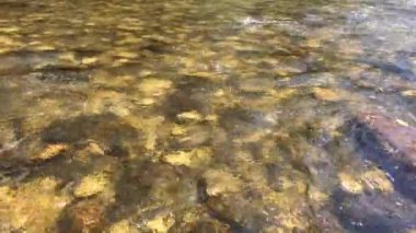 Nehir suyu renkli kayalardan akar. Nehir sularının altındaki taşlar. Nehir suyunun üzerindeki güneş ışınları.