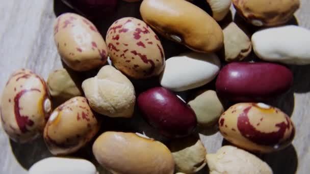 あらゆる種類の豆のマクロショット回転旋削 — ストック動画