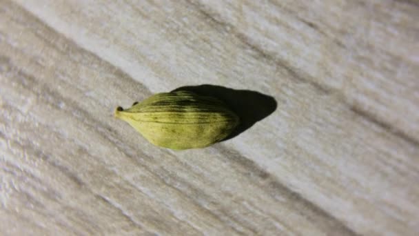 Een Groene Kardemom Pod Messing Mortel Macro Shot Draaien Draaien — Stockvideo