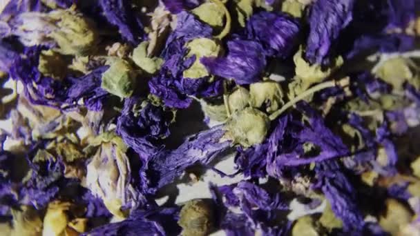 Sušené Květiny Mallow Makro Záběr Rotující Soustružení — Stock video