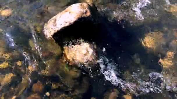 川の水の波の下の岩川の水の流れの下の石 川の水の流れに太陽の光 — ストック動画