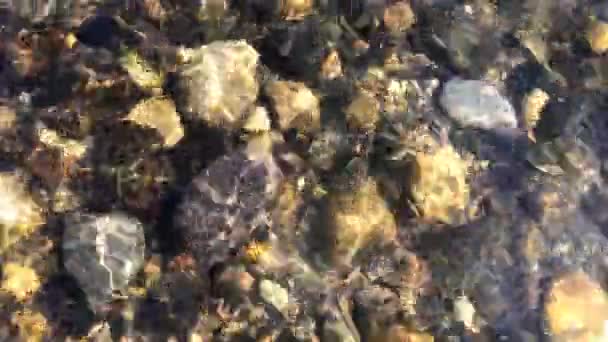 Acqua Del Fiume Scorre Rocce Colorate Pietre Sotto Flusso Dell — Video Stock