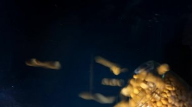 Dökülen Sarı parçalanmış kuru bezelye rekoru camın altında.