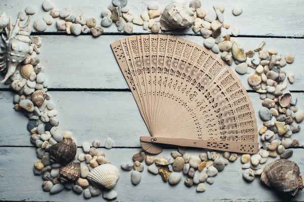 The fan and seashells on a wooden