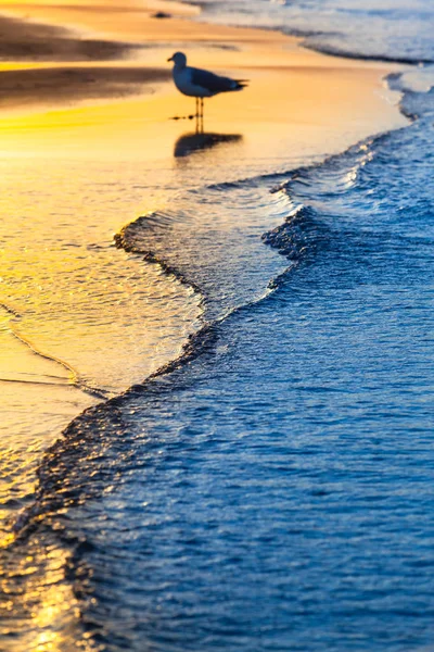 Rustige Golven Aan Kust Van Baltische Zee Geel Blauwe Schemering — Stockfoto