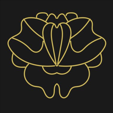 Şeffaf arkaplan ve küçük boyutlarda sarı çizgili güzel orkide.