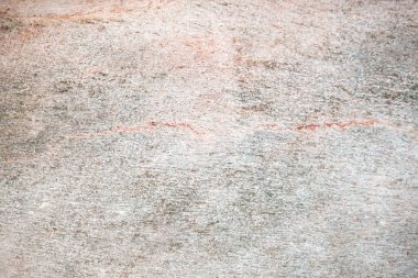 Hassas renkli eski ahşap dokusu okaliptüs ağacı..