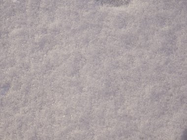 Yeni yıl ve Noel tasarımı için beyaz, temiz bir arka plan. İlk kar yağışına yakın çekim. Kış kar yağışı. 