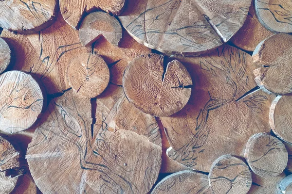 Fundo de anéis redondos de madeira — Fotografia de Stock