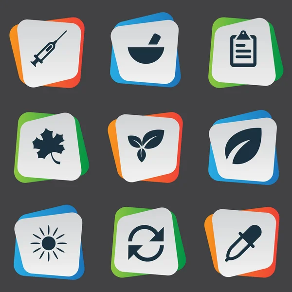 Vector illustratie Set van eenvoudige landbouw iconen. Elementen zon, bladeren, planten en andere synoniemen bladeren, gegevens en informatie. — Stockvector