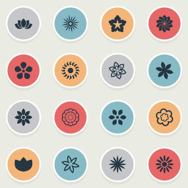 Vektör çizim basit çiçek simgeler kümesi. Öğeleri Bloom, desen, safran ve diğer eş anlamlı gerbera, defne ve desen.