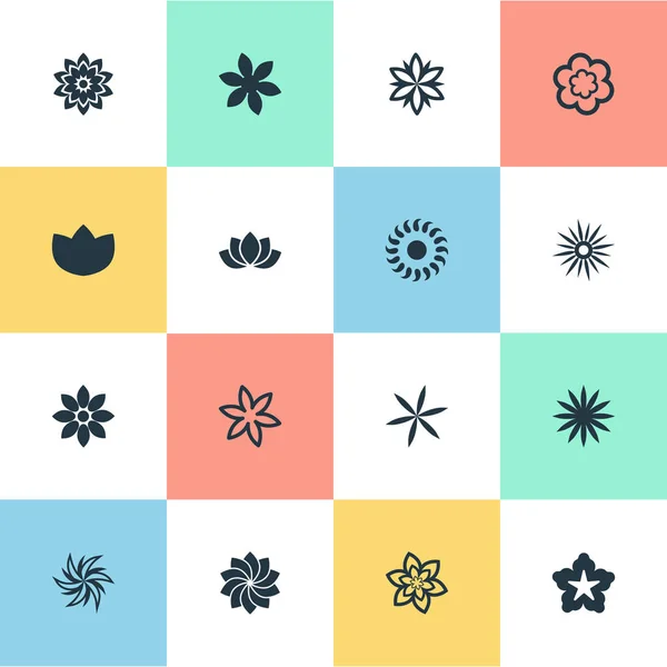 Illustration vectorielle Ensemble d'icônes de fleurs simples. Éléments Pivoine, fleur, hélianthe et autres synonymes Marguerite, souci et pois doux . — Image vectorielle