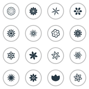 Vektör çizim basit çiçeği simgeler kümesi. Öğeleri kılıç Lily, Morning Glory, Laurel ve diğer eş anlamlı Morning Glory, Delphinium ve Bloom.