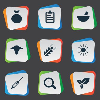 Vektör çizim basit hasat simgeler kümesi. Öğeleri Sunshine, şırınga, liste ve diğer eş anlamlı çare, Buffalo ve depolama.