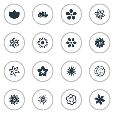 Vektör çizim basit gül simgeler kümesi. Öğeleri Morning Glory, kılıç Lily, orkideler ve diğer eş anlamlı elma çiçeği, kadife çiçeği ve Hercai Menekşe.