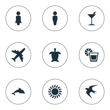 Vektör çizim basit Seaside simgeler kümesi. Öğeleri yutmak, uçak, kaplumbağa ve diğer eş iç, Turtle ve Bar.