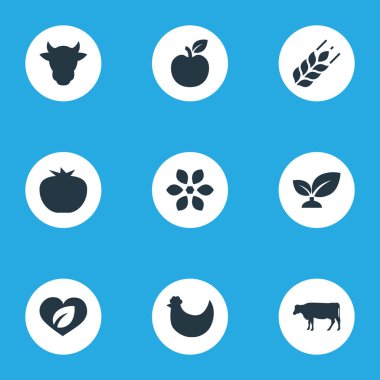 Vektör çizim basit simgeler kümesi. Öğeleri süt, sebze, çiçek ve diğer eş anlamlı Bloom, Apple ve vejetaryen.