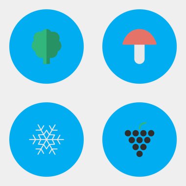 Vektör çizim basit Bahçe simgeler kümesi. Öğeleri pul kar, şarap, mantar ve diğer eş anlamlı orman, kar tanesi ve mantar.