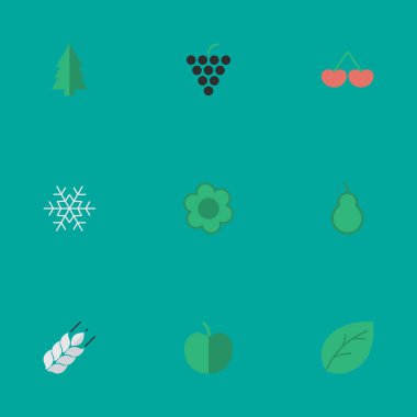 Vektör çizim basit Bahçe simgeler kümesi. Öğeleri şarap, yaprak, meyve ve diğer eş anlamlı Mısır ağaç ve broşür.