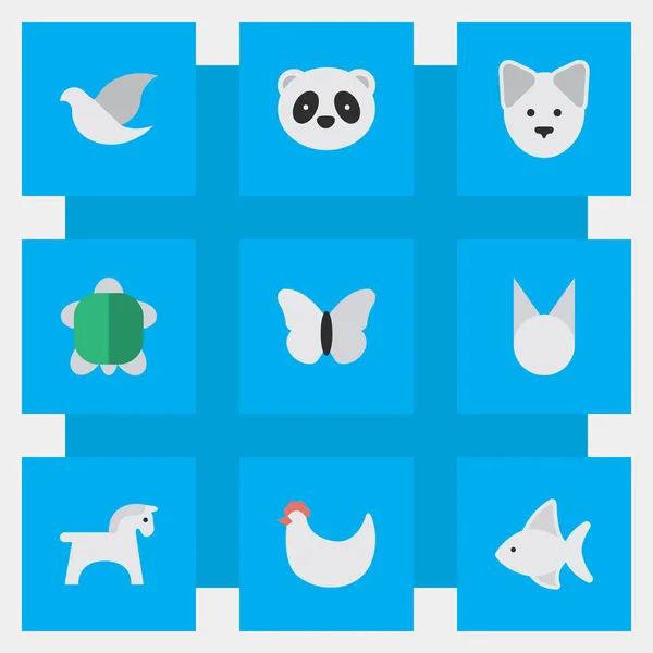 Illustration vectorielle Ensemble d'icônes simples pour animaux. Éléments Pigeon, loup, papillon de nuit et autres synonymes Perche, tortue et papillon . — Image vectorielle