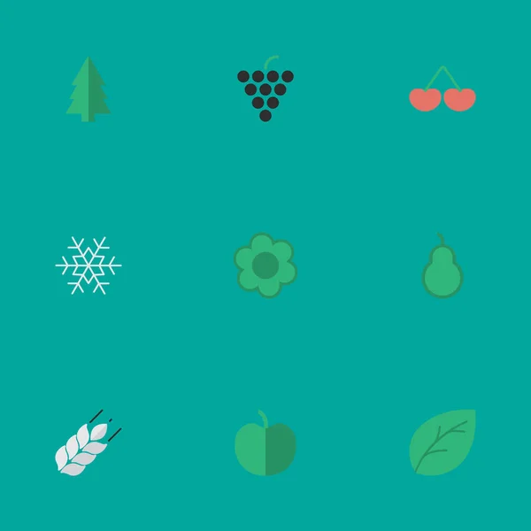 Conjunto de ilustração vetorial de ícones de jardim simples. Elementos Vinho, Folha, Frutas e Outros Sinônimos Milho, Árvore e Folheto . — Vetor de Stock