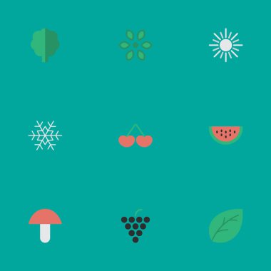 Vektör çizim basit Bahçe simgeler kümesi. Öğeleri mantar, çiçeği, güneş ve diğer eş anlamlı Pot, karpuz ve meyve.