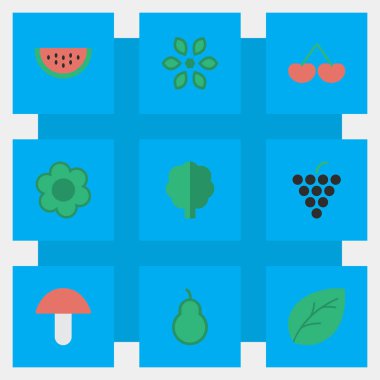 Vektör çizim basit Bahçe simgeler kümesi. Öğeleri Berry, çiçek, kum torbası ve diğer eş anlamlı üzüm, kavun ve meyve.