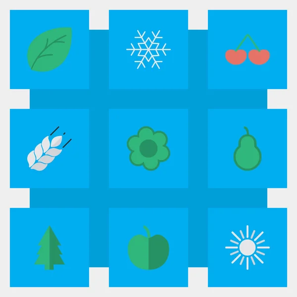Vektor Illustration uppsättning enkel trädgård ikoner. Element frukt, solen, bär och andra synonymer Apple, stansning och soligt. — Stock vektor