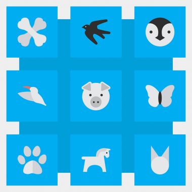 Vektör çizim basit Fauna simgeler kümesi. Öğeleri uçamayan kuş, Serçe, at ve diğer eş anlamlı Kuş Sparrow ve gıda.