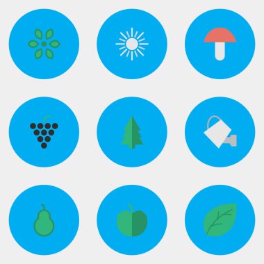 Vektör çizim basit Bahçe simgeler kümesi. Öğeleri meyve, kum torbası, levha ve diğer eş anlamlı çiçeği, Bauer ve mantar.