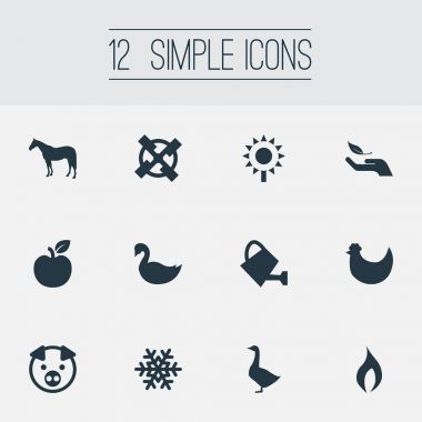 Vektör çizim basit doğa simgeler kümesi. Öğeleri bitki, meyve, taşlama ve diğer eş anlamlı domuz, çevre ve ayçiçeği.