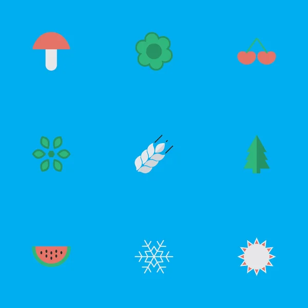 Vector Illustration Set Of Simple Horticulture Icons. Elements Corn, Flower, Fungus And Other Synonyms Watermelon, Sunny And Wheat. — Stock Vector