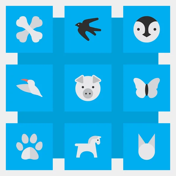 Vector Illustration Set of Simple Fauna Icons. Elementos Pájaro, Gorrión, Steed y Otros Sinónimos Pájaro, Gorrión y Comida . — Vector de stock