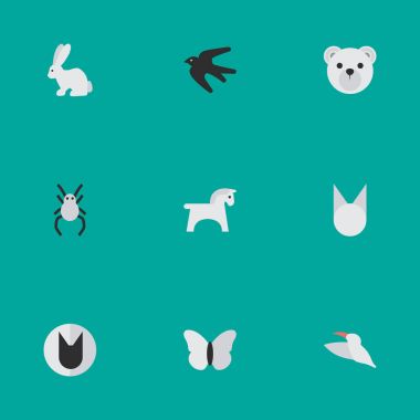 Vektör çizim basit Hayvanat Bahçesi simgeler kümesi. Öğeleri Tarantula, Serçe, Vinç ve diğer eş sevimli ayı ve tavşan.