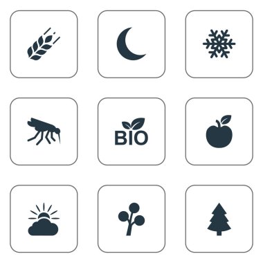 Vektör çizim basit ekoloji simgeler kümesi. Öğeleri Bio ürün, Don, taze gıda ve diğer eş anlamlı kış ürünleri ve köknar.