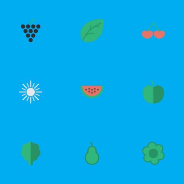 Vektör çizim basit Bahçe simgeler kümesi. Öğeleri ağaç, güneş, Berry ve diğer eş delme, ahşap ve güneşli.