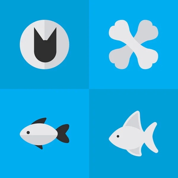 Vector illustratie Set van eenvoudige Fauna iconen. Elementen Tomcat, snoekbaars, Skeleton en andere synoniemen vis, kat en skelet. — Stockvector