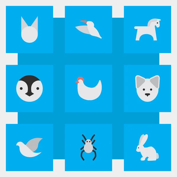 Vector Illustration Set of Simple Fauna Icons. Elementos Polla, Liebre, Paloma y Otros Sinónimos Gallina, Viuda y Liebre . — Vector de stock