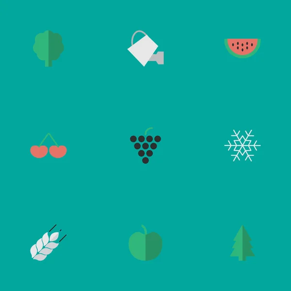 Vektor Illustration Set von einfachen Gartenbau-Symbolen. Elemente Melone, Wein, Bailer und andere Synonyme Schneeflocke, Traube und Weizen. — Stockvektor