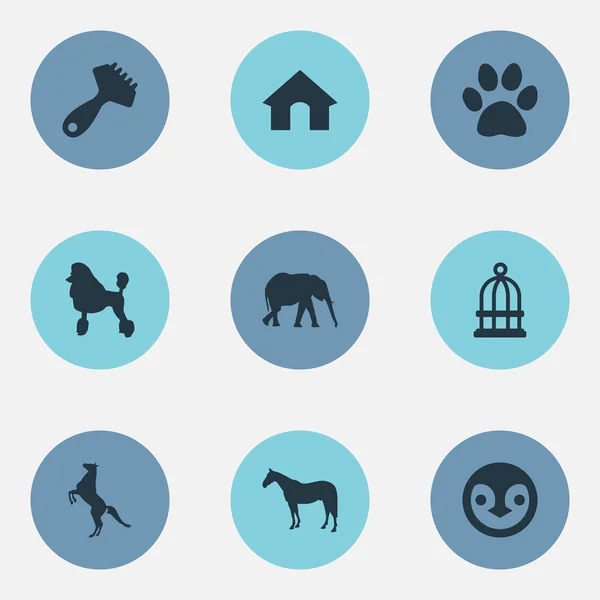 Vector Illustration Set of Simple Animals Icons. Elementos Safari, Hipódromo, Cachorro rizado y otros sinónimos Prisión, Mascotas y Huella . — Archivo Imágenes Vectoriales