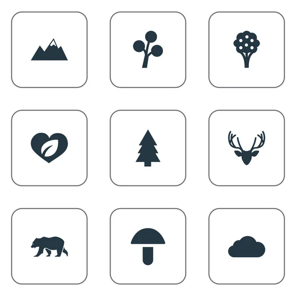 Векторный набор простых иконок. Полярный Медведь, Шампиньон, Елка и другие синонимы Грибы, Дерево и Саммит . — стоковый вектор