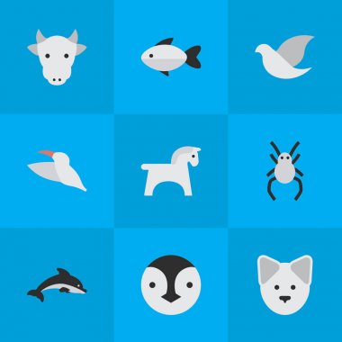 Vektör çizim basit vahşi simgeler kümesi. Öğeleri kurt, Tarantula, Balık ve diğer eş anlamlı evde beslenen hayvan, Yunus ve levrek.