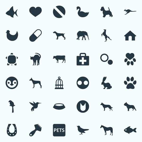 Vektor Illustration uppsättning enkel Wild-ikoner. Element Nasse, hingst, kyckling och andra synonymer näbb, australiska och Hummingbird. — Stock vektor